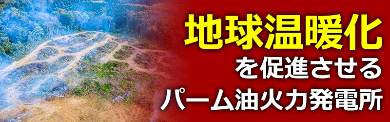 地球温暖化を加速させるパーム油火力発電所