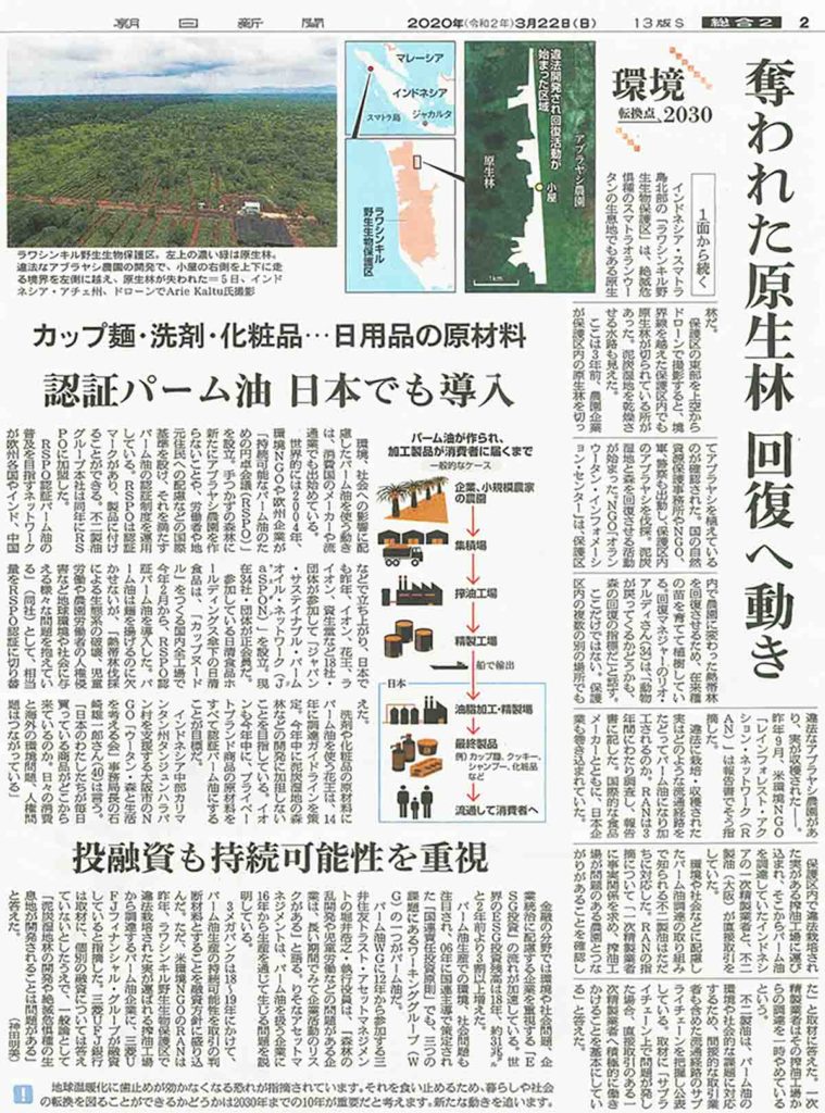 奪われた原生林　回復への動き
